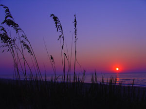 Sunset Seascape (Myrtle Beach, South Carolina)